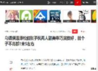 乌镇偶遇谭松韵张子枫两人甜美乖巧演技好，就个子不高都1米5左右|黄磊|何炅|张艺兴_网易订阅