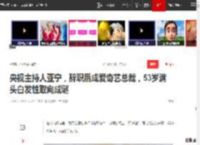 央视主持人亚宁，辞职后成爱奇艺总裁，53岁满头白发性取向成谜|倪萍|同一首歌|中国中央电视台_网易订阅