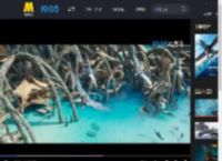 《阿凡达：水之道》发布预告 The Weeknd将献唱主题曲_高清视频在线观看_电影网