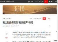 向太和向佐回应“向家破产”传闻_网易订阅