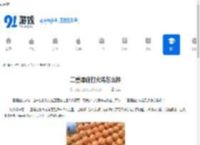 二重螺旋打火鸡怎么样-二重螺旋打火鸡好不好用 - 91手游网