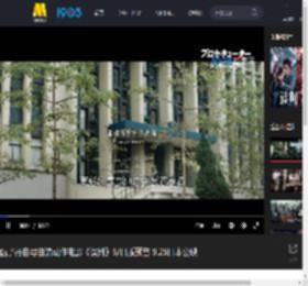 甄子丹自导自演动作电影《误判》曝日版预告 9.26日本公映_高清视频在线观看_电影网