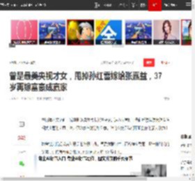 曾是最美央视才女，甩掉孙红雷嫁给张嘉益，37岁再嫁富豪成赢家|刘威葳|中国中央电视台_网易订阅