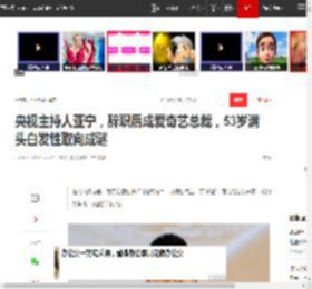 央视主持人亚宁，辞职后成爱奇艺总裁，53岁满头白发性取向成谜|倪萍|同一首歌|中国中央电视台_网易订阅