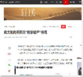 向太和向佐回应“向家破产”传闻_网易订阅