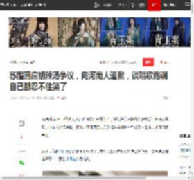 苏醒回应胡辣汤争议，向河南人道歉，谈唱歌跑调自己都忍不住笑了|汤和|小吃|苏醒(歌手)_网易订阅