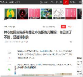 林心如回应陈妍希想让小海豚当儿媳妇：自己说了不算，还挺特别的|霍建华|小星星|娱乐圈|女明星_网易订阅