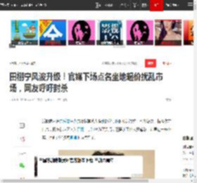 田栩宁风波升级！官媒下场点名坐地起价扰乱市场，网友呼吁封杀|汪峰|商演|音乐节_网易订阅