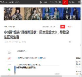 小S曝“姐夫”具俊晔现状:因太思念大S,导致没法正常生活|小s|大s|韩流|夜店|汪小菲|徐熙媛|徐熙娣_网易订阅