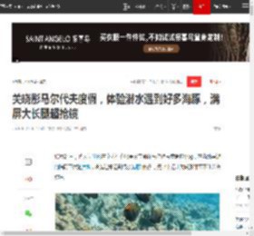 关晓彤马尔代夫度假，体验潜水遇到好多海豚，满屏大长腿超抢镜|鹿晗_网易订阅