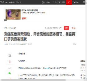 刘强东章泽天同框，开会现场的肢体细节，暴露两口子的真实现状|离婚|王思聪|权志龙_网易订阅