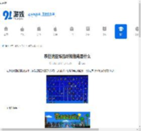 泰拉瑞亚饰品终极指南是什么-泰拉瑞亚饰品终极指南有哪些内容 - 91手游网